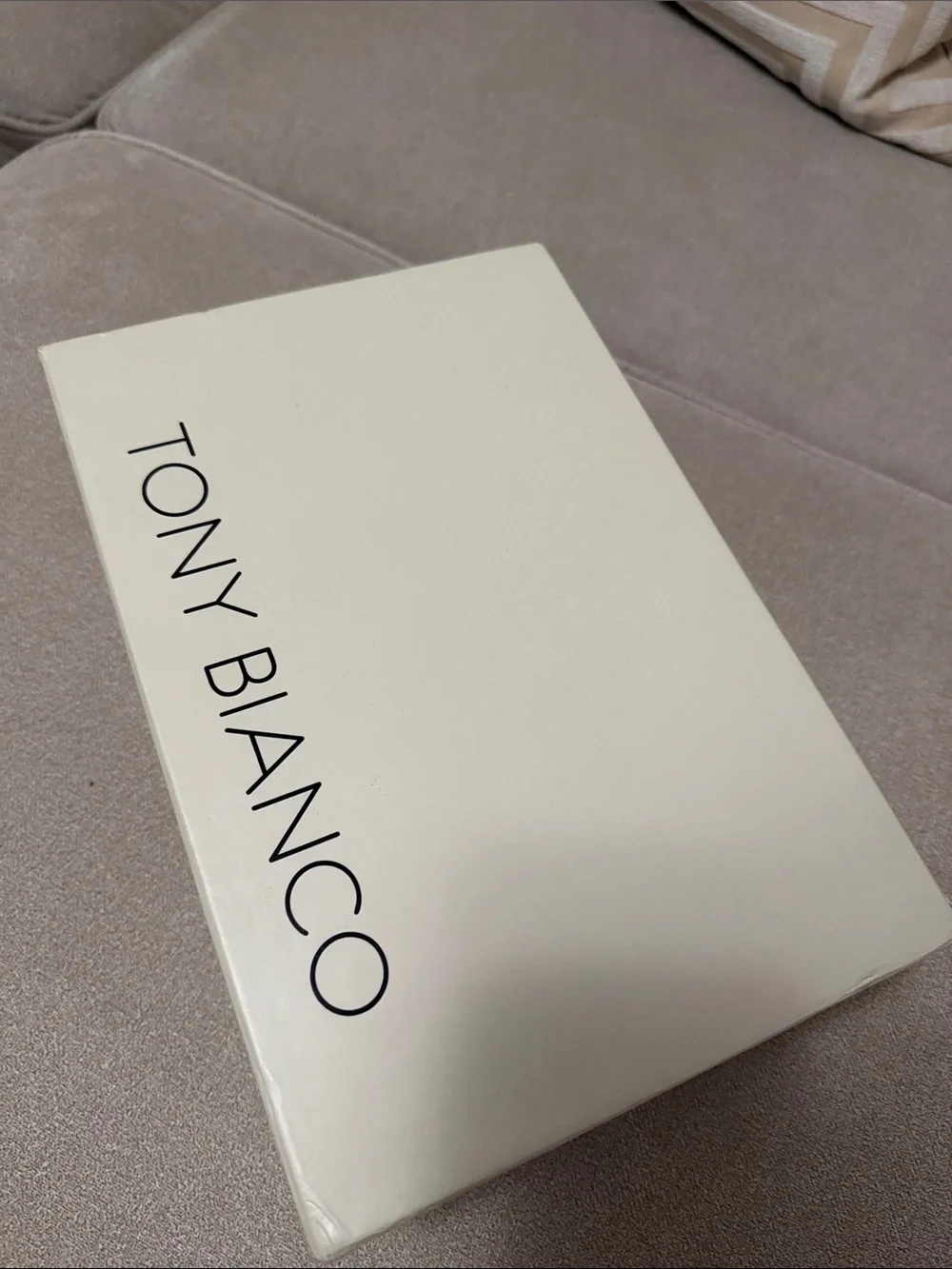 Tony Bianco Cream and Black Logo Shoe Box
